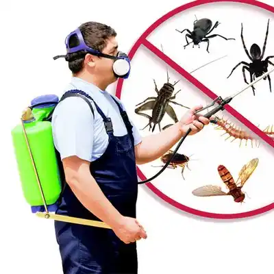 pest control Diamondhead